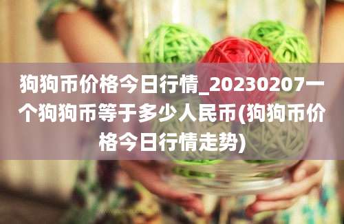 狗狗币价格今日行情_20230207一个狗狗币等于多少人民币(狗狗币价格今日行情走势)