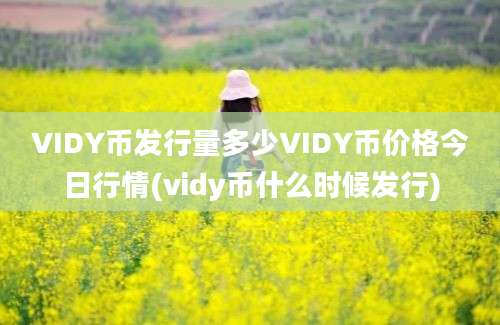 VIDY币发行量多少VIDY币价格今日行情(vidy币什么时候发行)