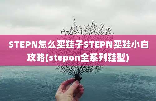 STEPN怎么买鞋子STEPN买鞋小白攻略(stepon全系列鞋型)