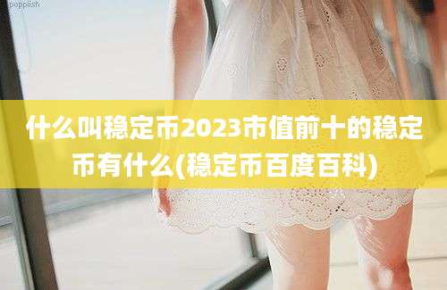 什么叫稳定币2023市值前十的稳定币有什么(稳定币百度百科)