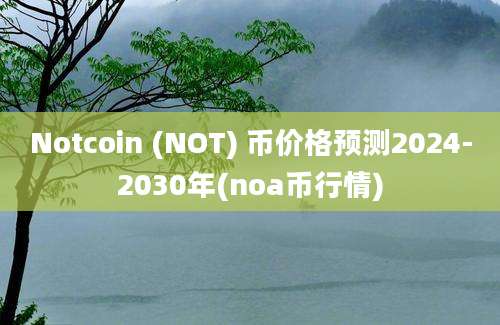 Notcoin (NOT) 币价格预测2024-2030年(noa币行情)