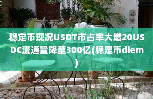 稳定币现况USDT市占率大增20USDC流通量降至300亿(稳定币diem)