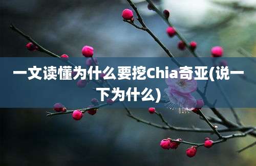 一文读懂为什么要挖Chia奇亚(说一下为什么)