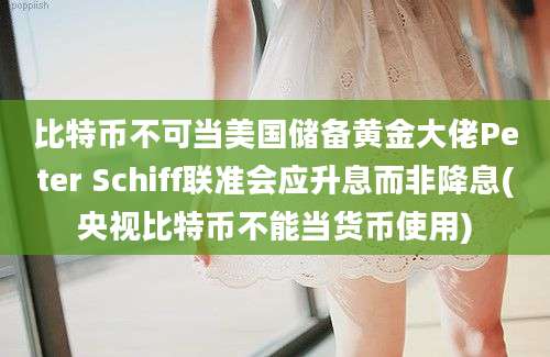 比特币不可当美国储备黄金大佬Peter Schiff联准会应升息而非降息(央视比特币不能当货币使用)