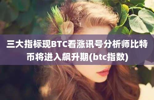 三大指标现BTC看涨讯号分析师比特币将进入飙升期(btc指数)