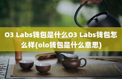 O3 Labs钱包是什么O3 Labs钱包怎么样(olo钱包是什么意思)