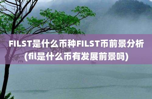 FILST是什么币种FILST币前景分析(fil是什么币有发展前景吗)