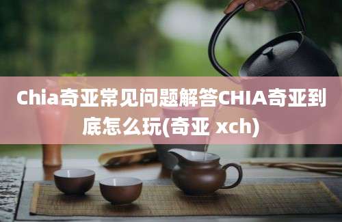 Chia奇亚常见问题解答CHIA奇亚到底怎么玩(奇亚 xch)