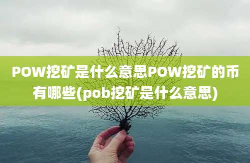 POW挖矿是什么意思POW挖矿的币有哪些(pob挖矿是什么意思)