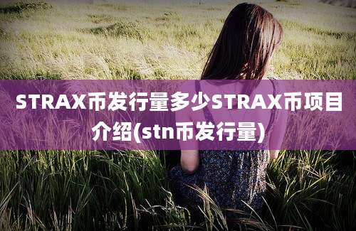 STRAX币发行量多少STRAX币项目介绍(stn币发行量)