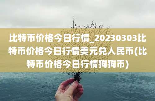 比特币价格今日行情_20230303比特币价格今日行情美元兑人民币(比特币价格今日行情狗狗币)