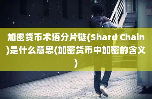 加密货币术语分片链(Shard Chain)是什么意思(加密货币中加密的含义)