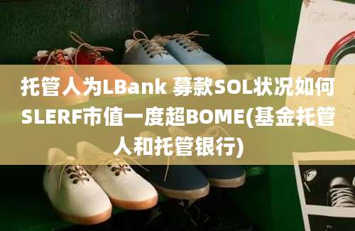 托管人为LBank 募款SOL状况如何SLERF市值一度超BOME(基金托管人和托管银行)