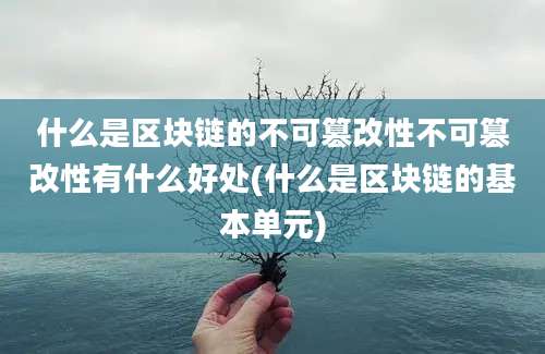 什么是区块链的不可篡改性不可篡改性有什么好处(什么是区块链的基本单元)