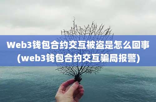 Web3钱包合约交互被盗是怎么回事(web3钱包合约交互骗局报警)