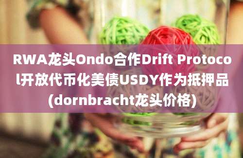 RWA龙头Ondo合作Drift Protocol开放代币化美债USDY作为抵押品(dornbracht龙头价格)