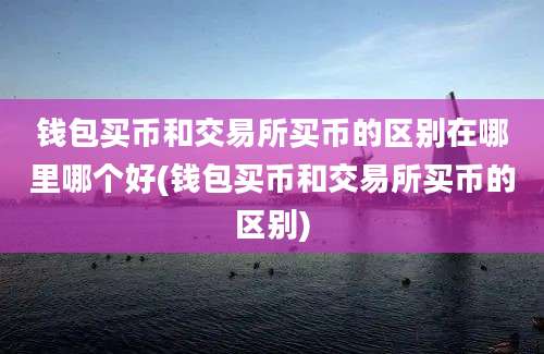 钱包买币和交易所买币的区别在哪里哪个好(钱包买币和交易所买币的区别)