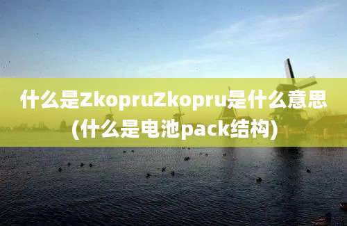 什么是ZkopruZkopru是什么意思(什么是电池pack结构)