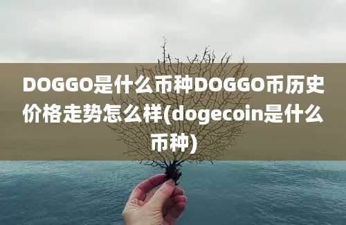 DOGGO是什么币种DOGGO币历史价格走势怎么样(dogecoin是什么币种)