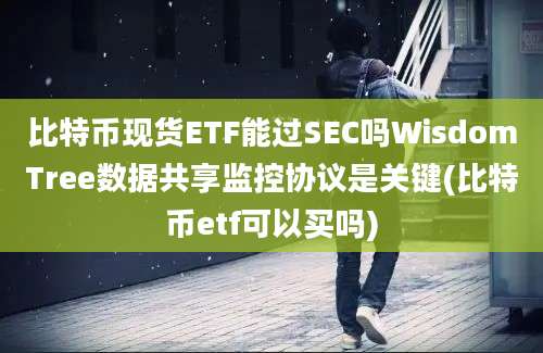 比特币现货ETF能过SEC吗WisdomTree数据共享监控协议是关键(比特币etf可以买吗)