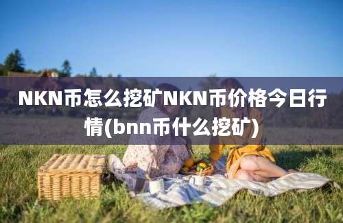 NKN币怎么挖矿NKN币价格今日行情(bnn币什么挖矿)