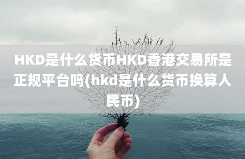 HKD是什么货币HKD香港交易所是正规平台吗(hkd是什么货币换算人民币)