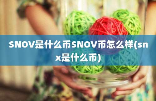 SNOV是什么币SNOV币怎么样(snx是什么币)