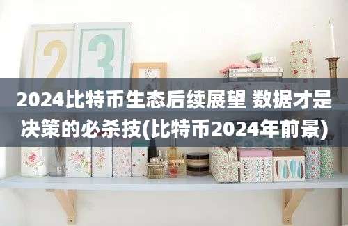 2024比特币生态后续展望 数据才是决策的必杀技(比特币2024年前景)