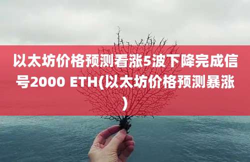 以太坊价格预测看涨5波下降完成信号2000 ETH(以太坊价格预测暴涨)