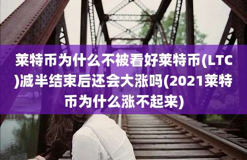 莱特币为什么不被看好莱特币(LTC)减半结束后还会大涨吗(2021莱特币为什么涨不起来)