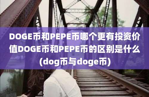 DOGE币和PEPE币哪个更有投资价值DOGE币和PEPE币的区别是什么(dog币与doge币)