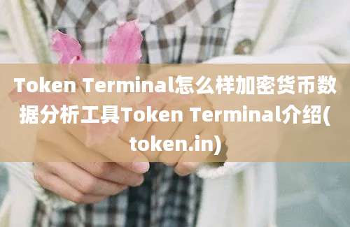 Token Terminal怎么样加密货币数据分析工具Token Terminal介绍(token.in)