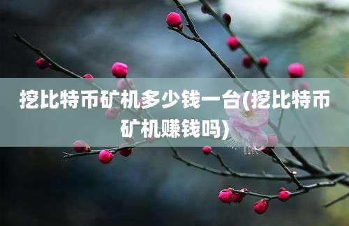 挖比特币矿机多少钱一台(挖比特币矿机赚钱吗)