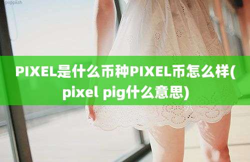 PIXEL是什么币种PIXEL币怎么样(pixel pig什么意思)