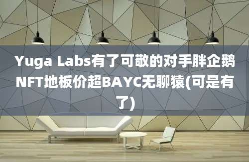 Yuga Labs有了可敬的对手胖企鹅NFT地板价超BAYC无聊猿(可是有了)