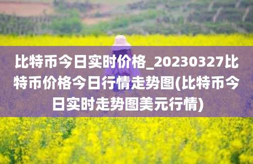 比特币今日实时价格_20230327比特币价格今日行情走势图(比特币今日实时走势图美元行情)