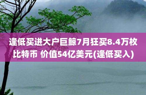 逢低买进大户巨鲸7月狂买8.4万枚比特币 价值54亿美元(逢低买入)