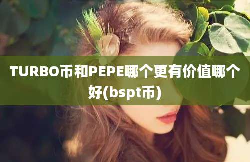 TURBO币和PEPE哪个更有价值哪个好(bspt币)