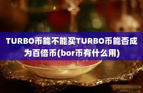 TURBO币能不能买TURBO币能否成为百倍币(bor币有什么用)