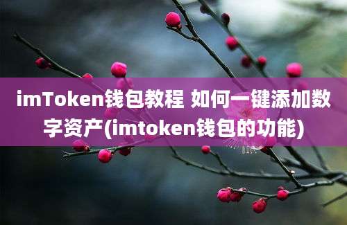 imToken钱包教程 如何一键添加数字资产(imtoken钱包的功能)