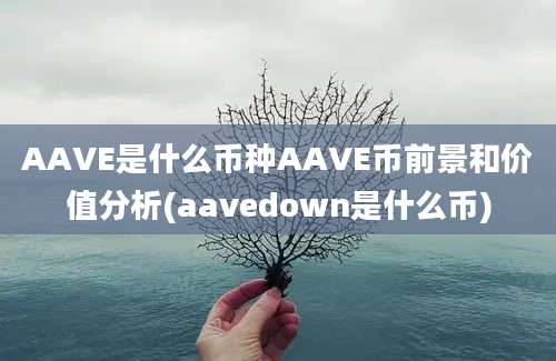 AAVE是什么币种AAVE币前景和价值分析(aavedown是什么币)