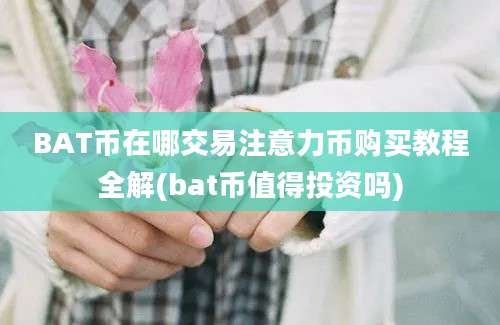 BAT币在哪交易注意力币购买教程全解(bat币值得投资吗)