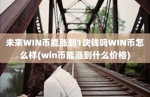 未来WIN币能涨到1块钱吗WIN币怎么样(win币能涨到什么价格)