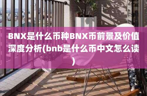 BNX是什么币种BNX币前景及价值深度分析(bnb是什么币中文怎么读)