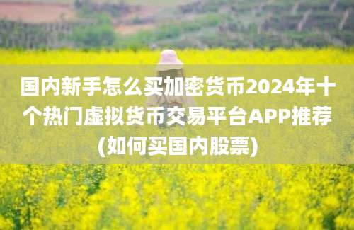 国内新手怎么买加密货币2024年十个热门虚拟货币交易平台APP推荐(如何买国内股票)