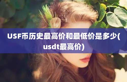 USF币历史最高价和最低价是多少(usdt最高价)