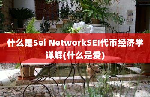 什么是Sei NetworkSEI代币经济学详解(什么是爱)