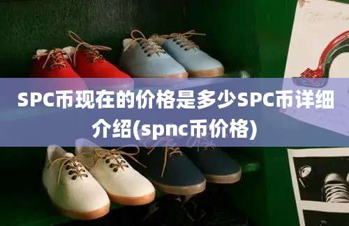 SPC币现在的价格是多少SPC币详细介绍(spnc币价格)