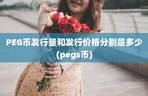 PEG币发行量和发行价格分别是多少(pegs币)