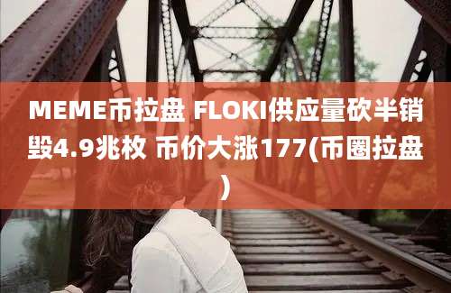 MEME币拉盘 FLOKI供应量砍半销毁4.9兆枚 币价大涨177(币圈拉盘)